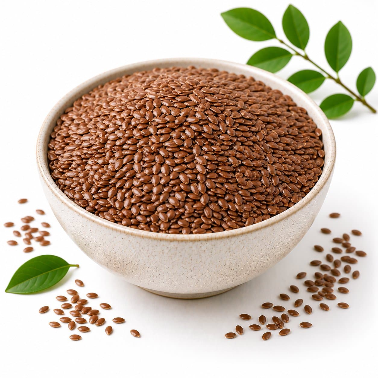 Flax Seeds
